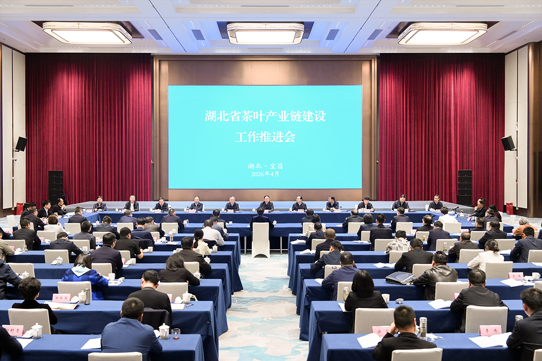 省茶叶产业链建设工作推进会召开 孙伟出席并讲话
