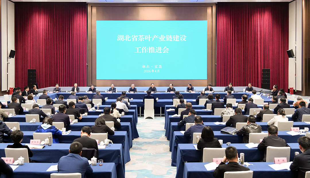 省茶叶产业链建设工作推进会召开